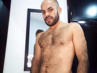 LatinBear